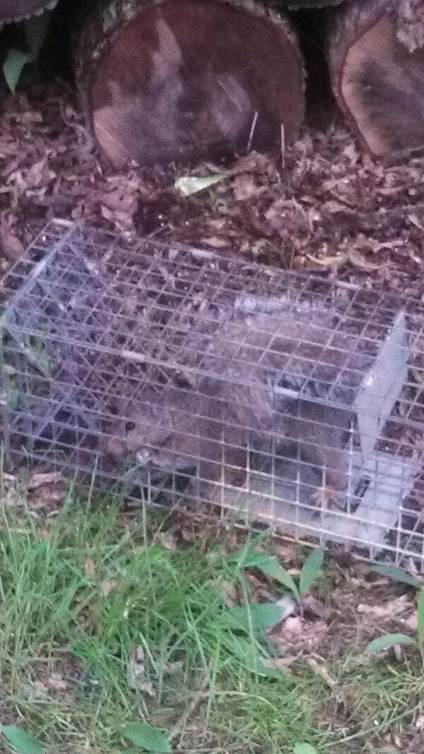 TannerSullivan2's tweet image. #FoolAss #TooEasy