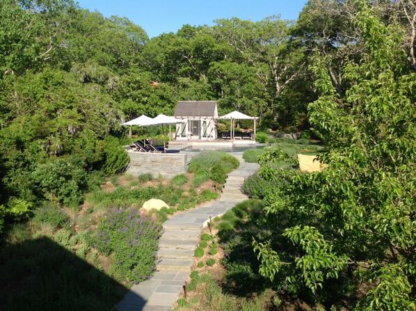 Anne Erni (@gingerhickory) on Twitter photo 