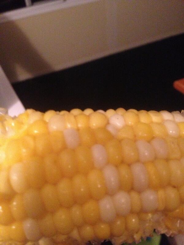 tinybubbles831's tweet image. No matter how much you chew it, it always is gunna be whole @joelisacoolkid