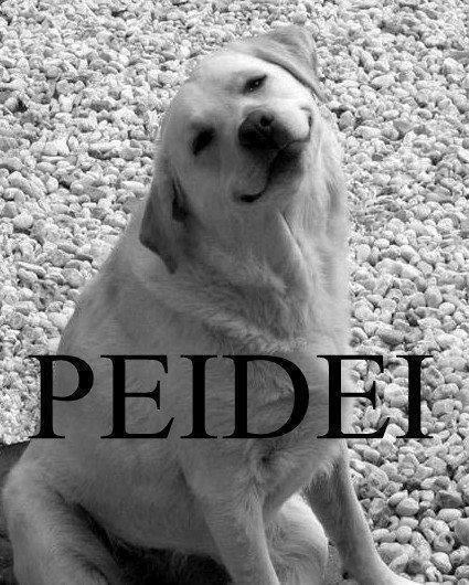 alschaer's tweet photo. @UELDEROFICIAL jura uelder? http://t.co/mh3F7JLL4C