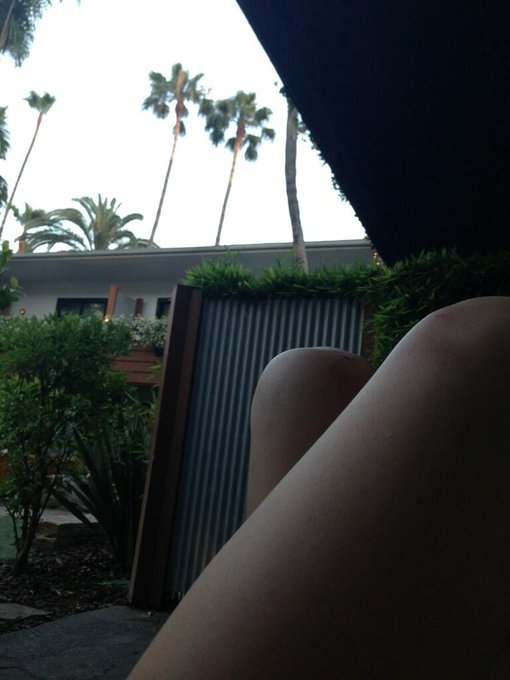 My knees at the Roosevelt. http://t.co/d7fewOzYYh<a href="/tag/fan"class="tags"><span>#fan</span></a>