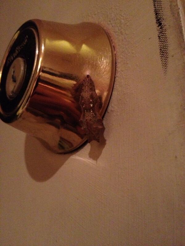 LASovereign's tweet image. A chrysalis has made its home at a very busy back door.