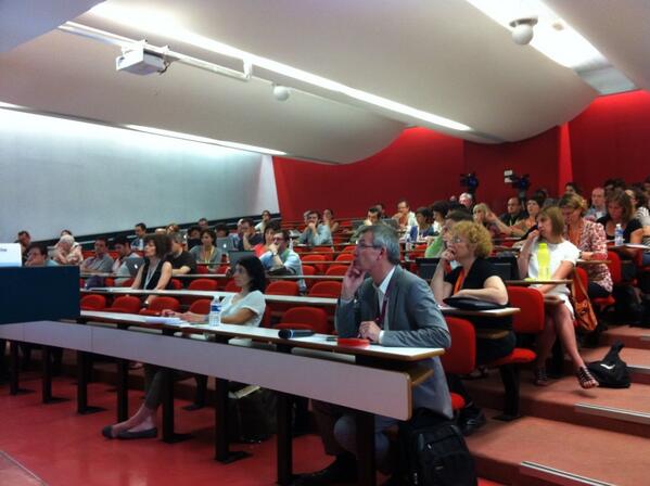 #mootfr13 formation mixte amphi durkheim