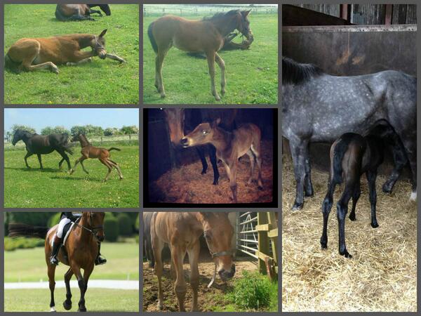 jesmond_stud's tweet photo. jesmond stud http://t.co/xaacxfUVph