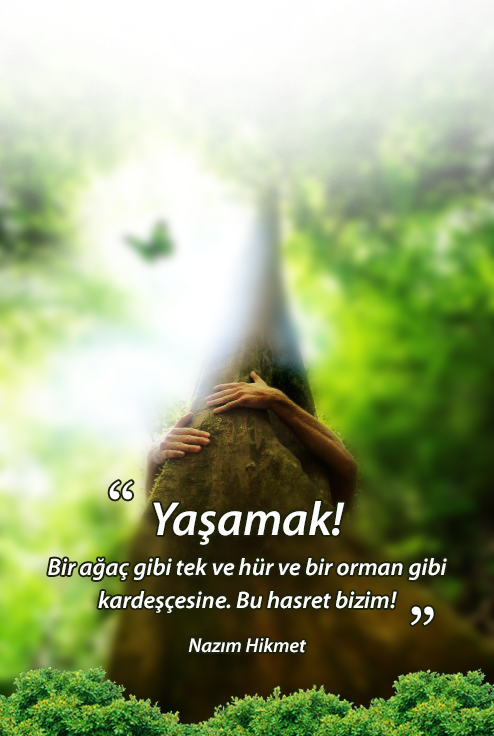 FlyMeKiteFest's tweet photo. Dünya Çevre Günü'müz kutlu olsun. We celebrate World Environment Day. http://t.co/MFVDtpjznJ