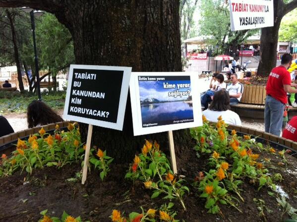 Burası Ankara Kuğulu Park! Tabiatı ve Biyoçeşitliliği Koruma Kanunu'nu durdurmak için hep birlikteyiz!