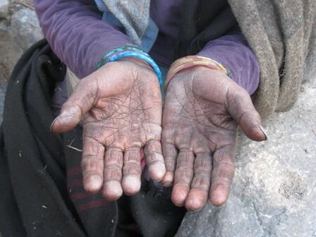 Humanity,Neutrality,Impartiality! tweet media