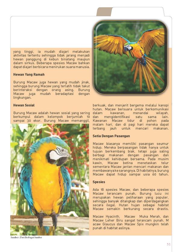 Media Tweets By Ipet Magazine Ipet Magazine Twitter