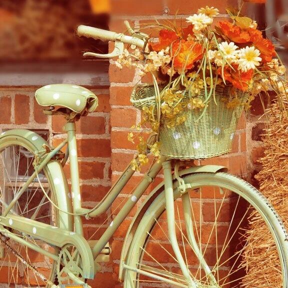 ChrisHOlsen's tweet photo. Add some springtime flair to your bike with a basket full of flowers! http://t.co/MgiEdavakz