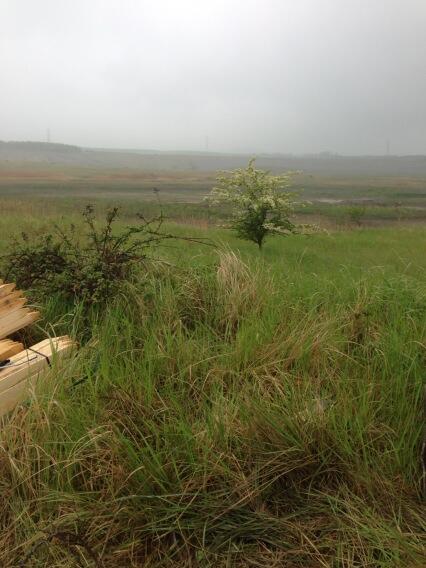 Dan_Edson's tweet image. Fuck this weather!