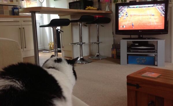 Me watching the French Open Tennis.....Roxy xx