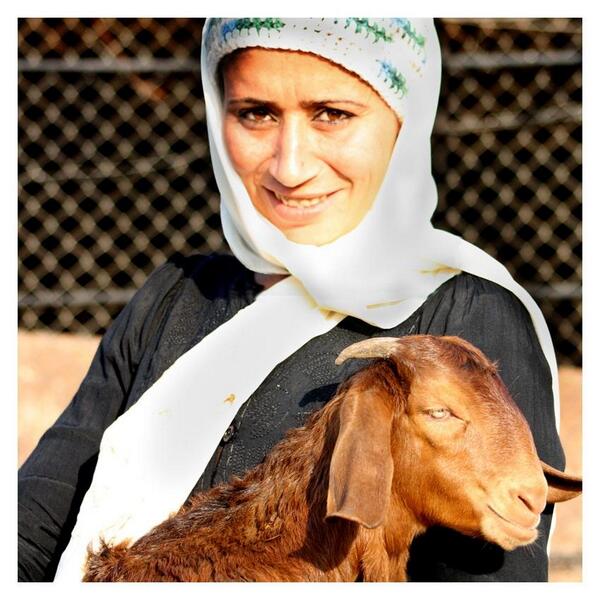 FINCA_JO's tweet photo. تقدم فينكا قرض النساء الموسمي لمن يعملن في مشاريع زراعية أو تجارية أو صناعية موسمية.
#jo #microfinance http://t.co/j2vVxqApjM