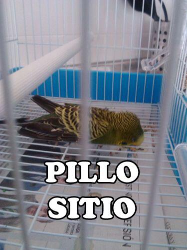 periquitodebayo's tweet photo. http://t.co/tb3wpNQQ23