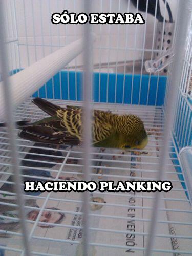 periquitodebayo's tweet photo. http://t.co/GlqxIeuzUb