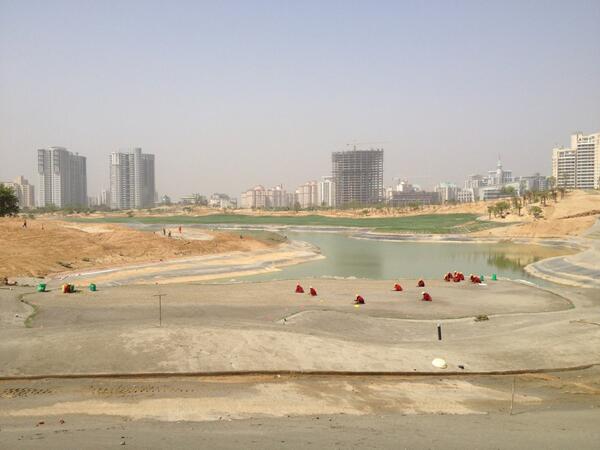 David B Mathews tweet media