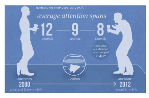 Attention span. Attention span перевод. Low attention span. The average Human attention span.