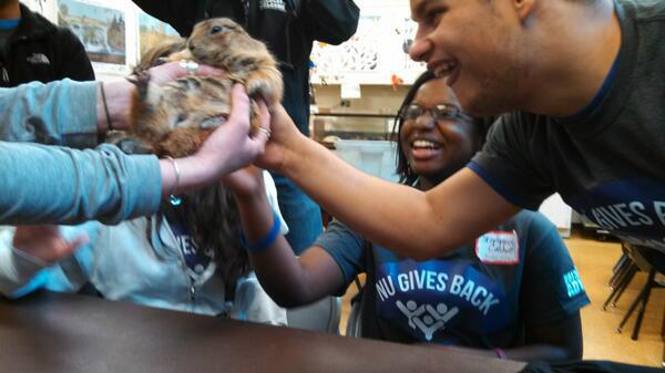 Congrats to <a href="/aholterman11/">Alex Holterman</a> for winning our Twitter pic contest and $25 to Giordano's! We're sure Piff would be proud.