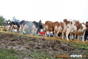 osthessentv's tweet photo. FLASHMOB und Prämienmarkt | Schlamm, Matsch und Tänzer im Regen - http://t.co/PNEYzeI2eO http://t.co/mohdmNUuKL