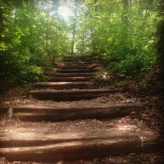 SummerJean20's tweet image. Welcome back to training. #dontfallupthestairs #kneedrive