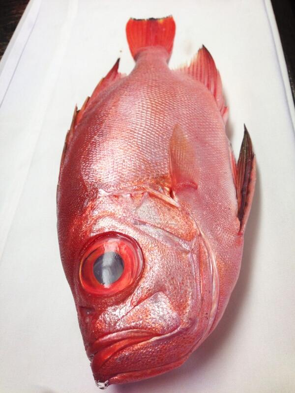 What is Kinmedai (Golden Eye Snapper) ? - bigfridgeboy