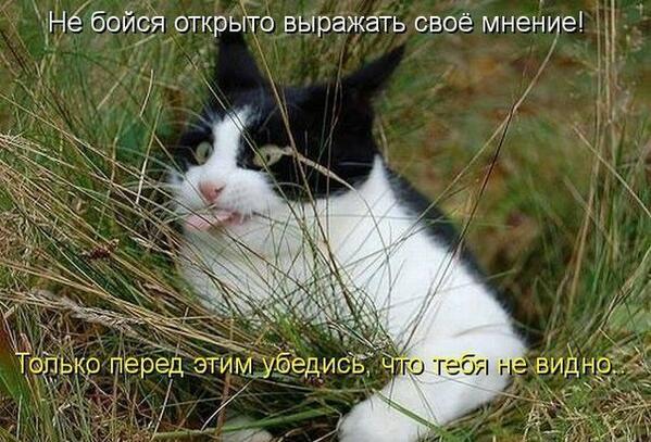 <a href="/baranova26934/">Света</a> Как по-человечьи, прямо жуть