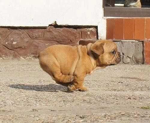 <a href="/baranova26934/">Света</a> Ахахаха! Ну это тоже вид спорта!