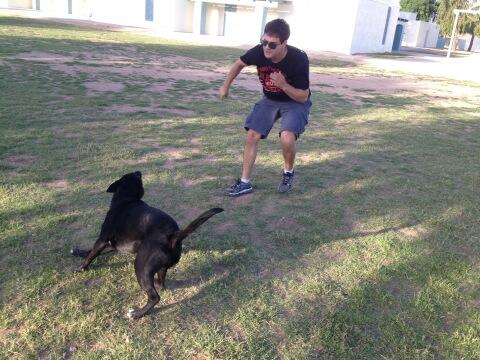 ATL_LP's tweet photo. Killin time on a Phoenix playground #roadtrippinwithdogs http://t.co/quF4deUf6Y