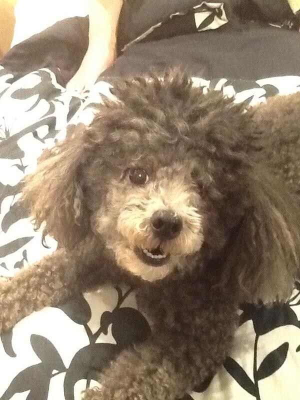 So so so so so adorable