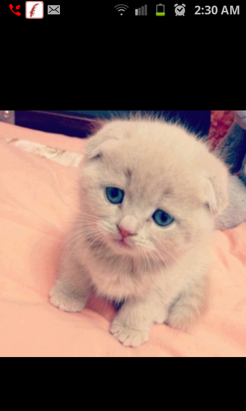 _dooja tweet picture
