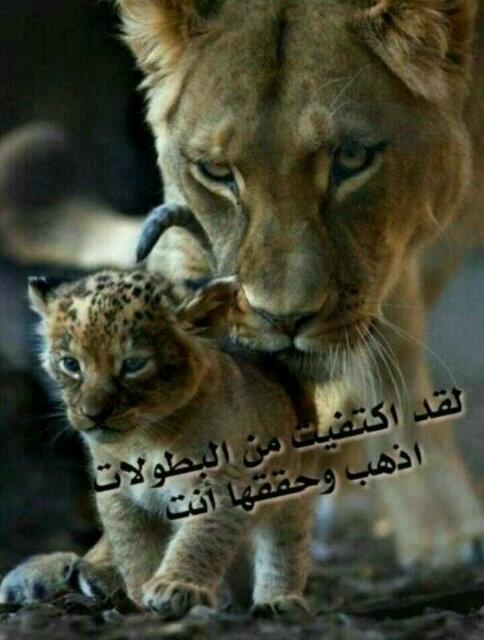 Zaaallla1's tweet photo. http://t.co/NjA4eOVO9Y