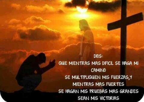 MIGUEL NIEVES tweet media