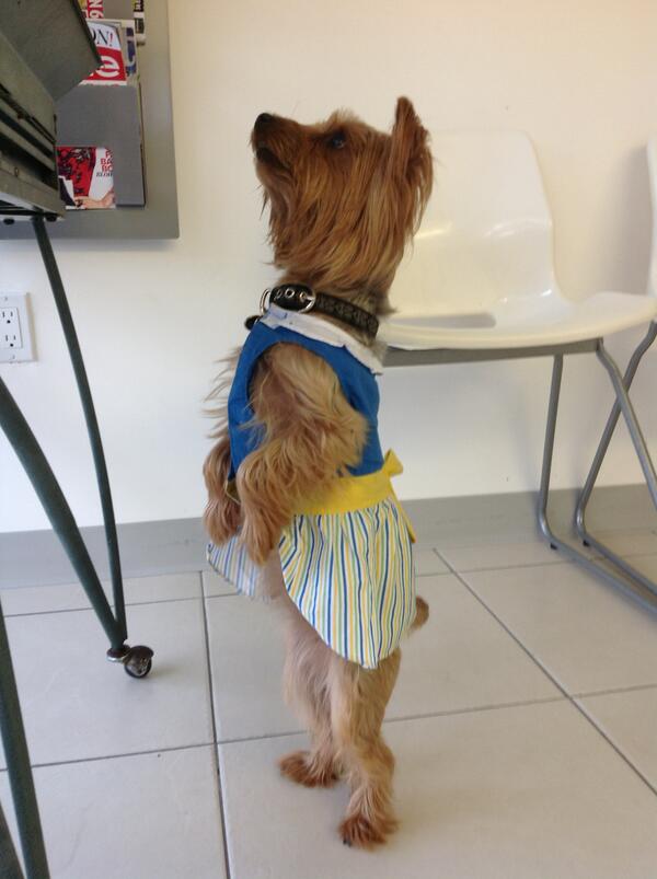 CooperCity's tweet photo. http://t.co/B37S91QgK7