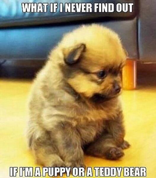 squezzedale's tweet photo. @JoanneHowe1 @jessiejohnson85 How cute!! Xxx http://t.co/dNXgYGxaG9