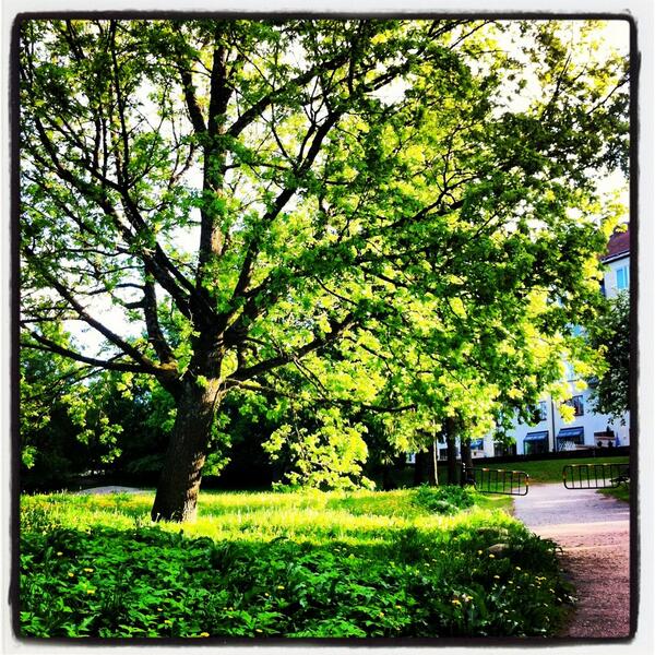 SpringmusikSe's tweet image. Härligt väder i Götet! Avslutade dagens pass med nedvarv till prom.tjatte-listan! Funkade perfekt! #träning #musik