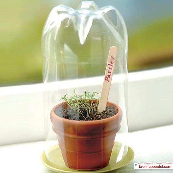 KarweiR's tweet photo. Zelf een mini-kas maken? Dat kan #snel en #makkelijk met een #limonade #fles. #DIY http://t.co/AhWbU6X9Tu