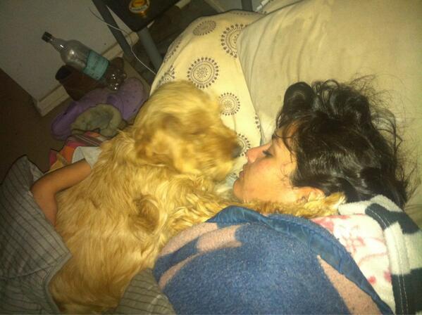 mabrisotos's tweet image. @Fer_Gerhard x esto andas con sueño #lapelu #lapollo #elsueño #regalonas