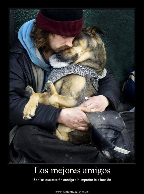 YolandaGogo's tweet photo. Cada vez q veo esta imagen,pienso q no hay NINGUNA EXCUSA para no llevartelo donde tu vayas NO ABANDONES A TU PERRO! http://t.co/MGzU6zfTjC