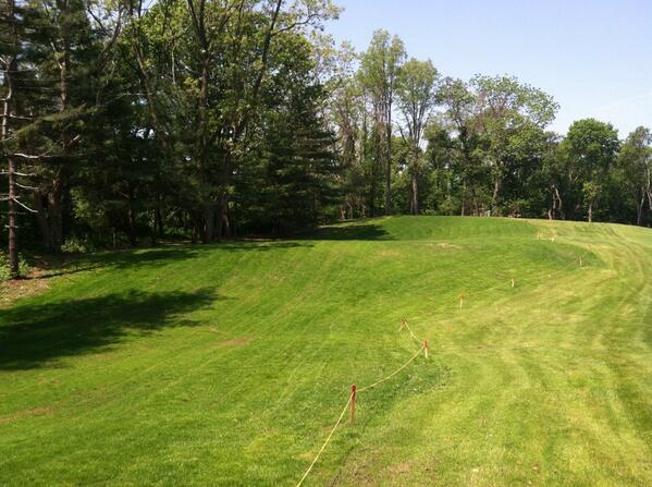 Pine Hollow Greens tweet media