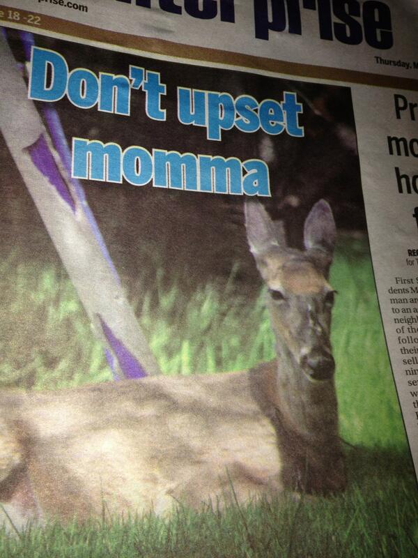 KenoraPromblems's tweet image. Don't get mom mad