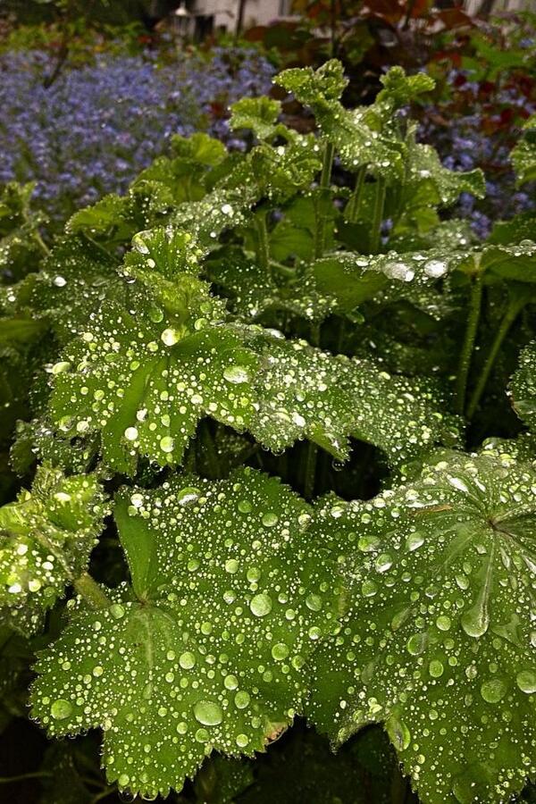 onedirectionayo's tweet image. With tha phone ha xx