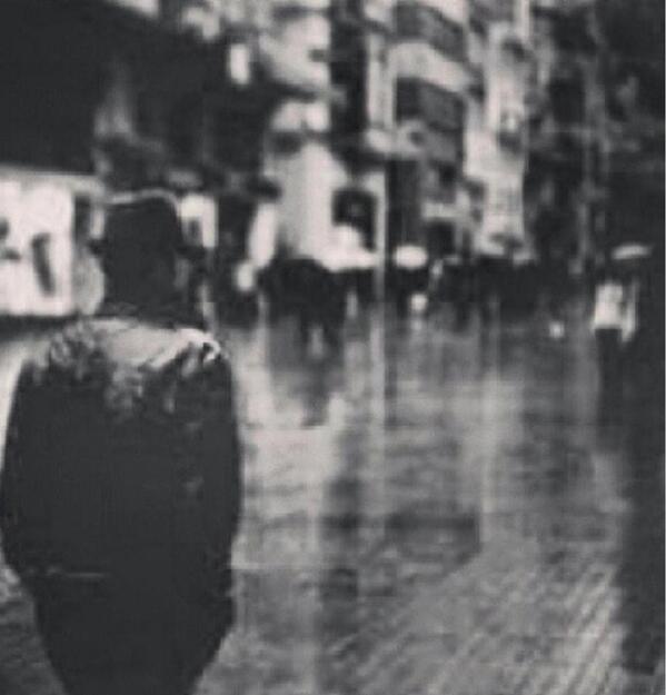 northern tweet media