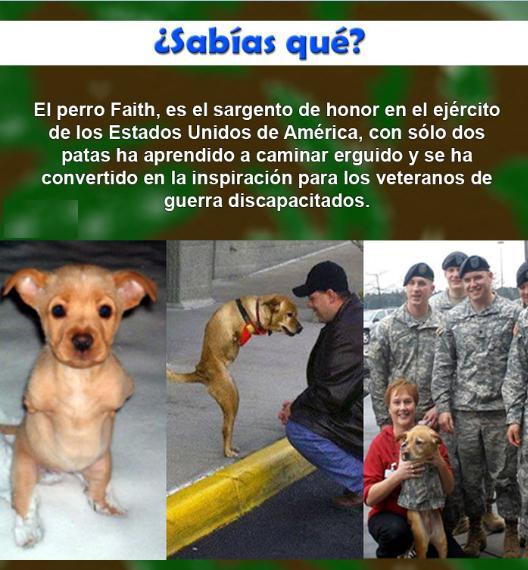 MejoresTwits's tweet photo. ¡¡Qué grande!! http://t.co/89OCp3pKSs