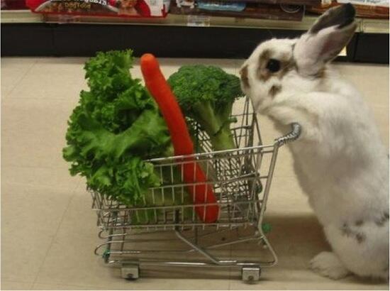 Carrot Facts tweet media