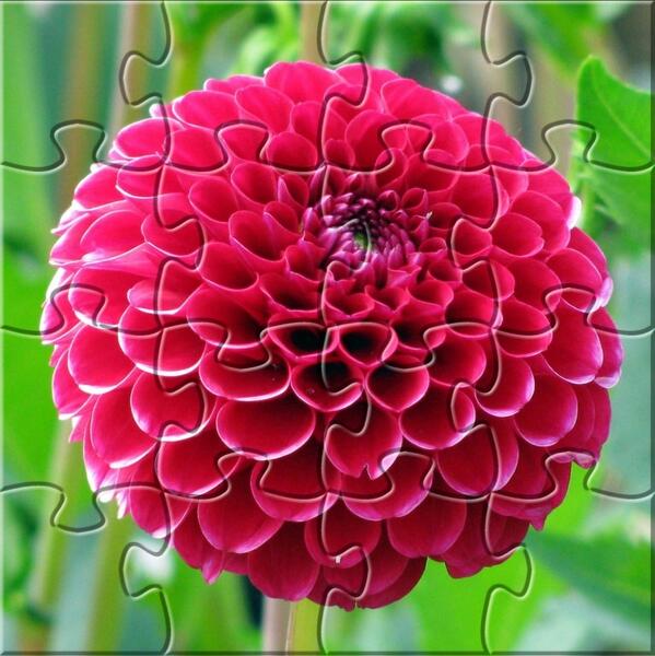 Frame9292's tweet image. Check out the puzzle I just completed with Jigsaw Puzzle!
bit.ly/KqMUk6