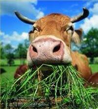 HashtagJacko's tweet image. @AshleyDeeney let&apos;s start preseason early #benchbanter