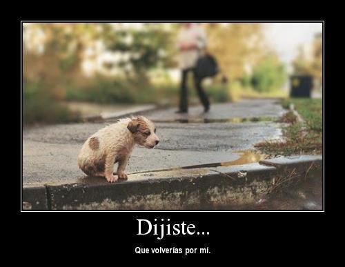 DeboConfesarQue's tweet photo. MALDITOS HIJOS DE PUTA LOS QUE HACEN ESTO... http://t.co/6oE3yFtCJj