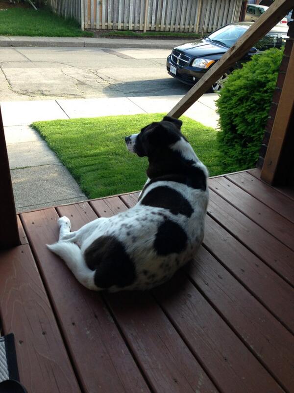 Simonsayswoof's tweet photo. #porchlife #yolo http://t.co/dkNXTi1OG5