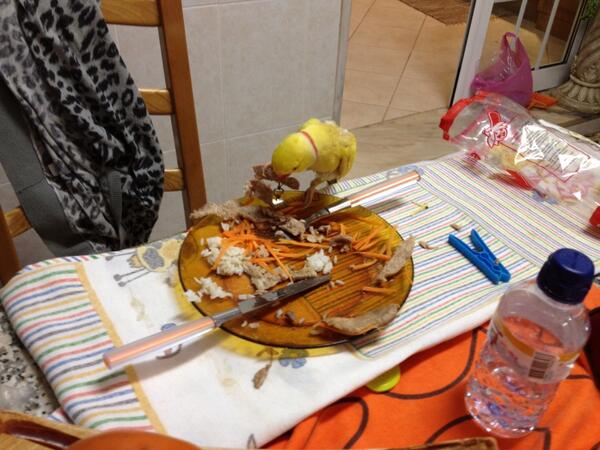 Nas mais pequenas distrações...