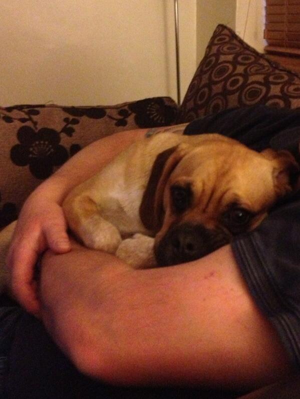 Rubypuggle tweet picture