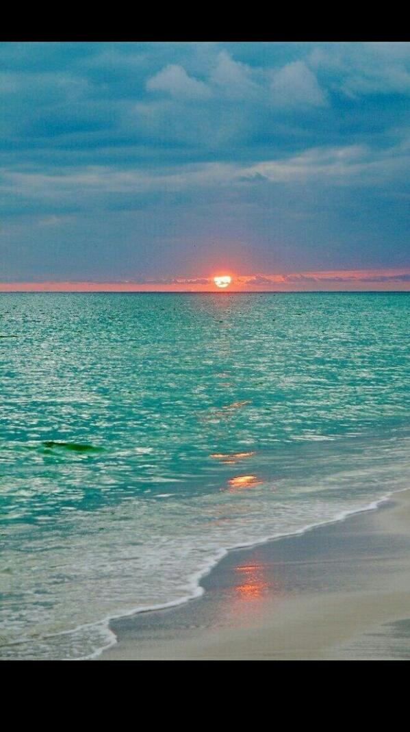 coldxblooded's tweet image. *walks along the beach and watches the sunset*